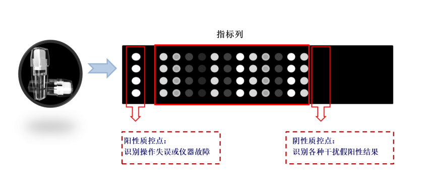 QQ图片20210820090041